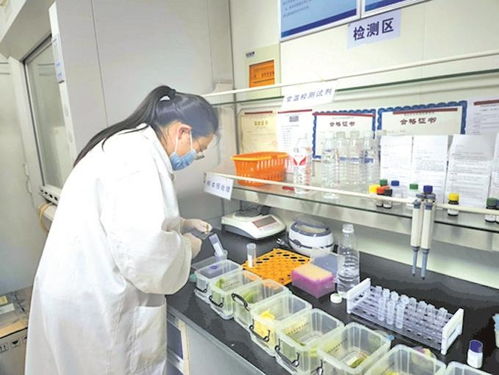 無錫農(nóng)貿(mào)市場實(shí)現(xiàn)快檢全覆蓋，上半年檢測90多萬批次合格率超99%
